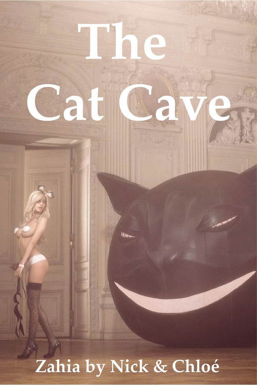 The Cat Cave (2011) poster