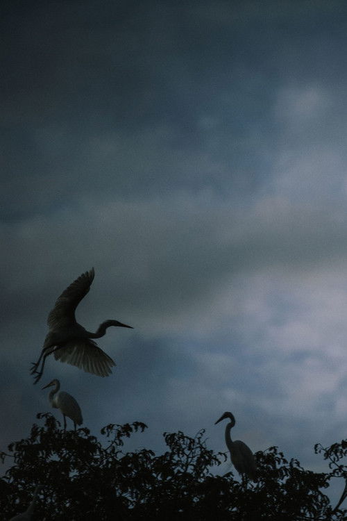 Avant la nuit (2023) poster