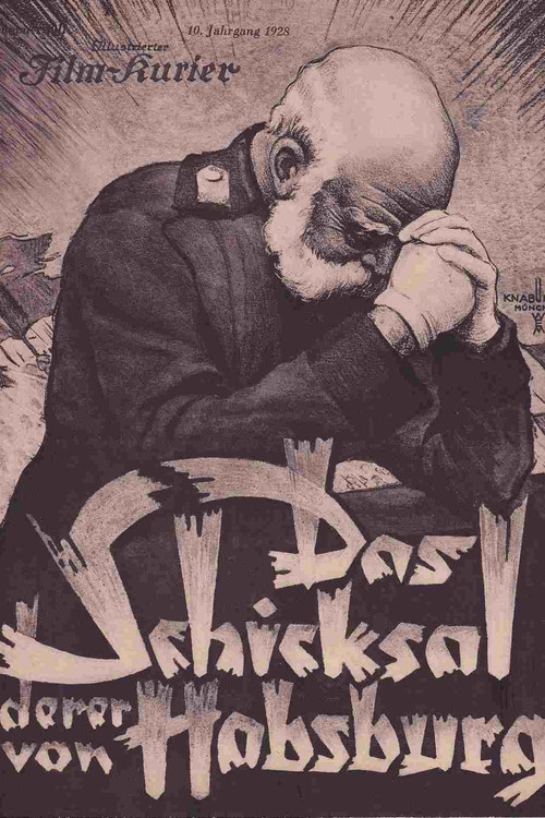 Das Schicksal derer von Habsburg (1928) poster