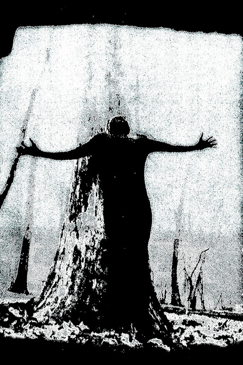 IIsandra In Ruin (2025) poster