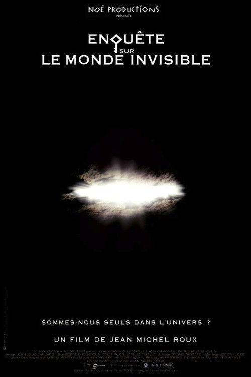 Investigation Into the Invisible World (2002) poster
