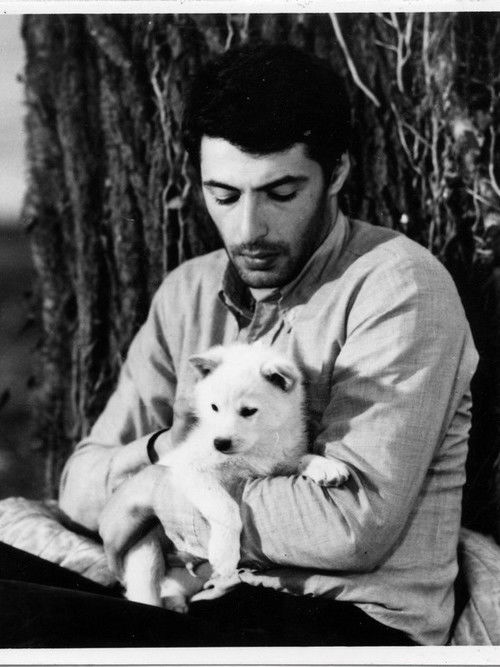 იმედის მწვანე კუნძული (1978) poster