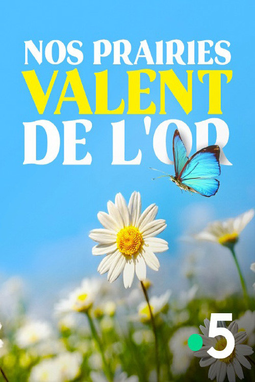 Nos prairies valent de l'or (2020) poster