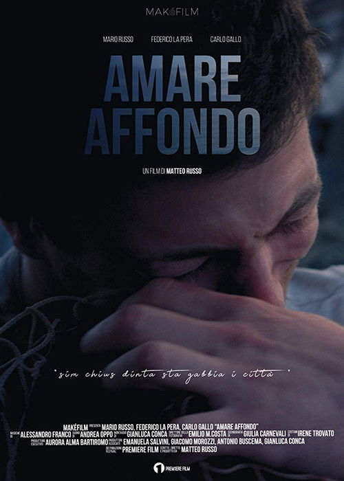 Amare Affondo (2019) poster
