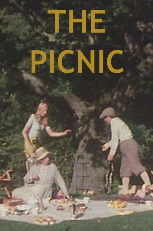 The Picnic (1976) poster