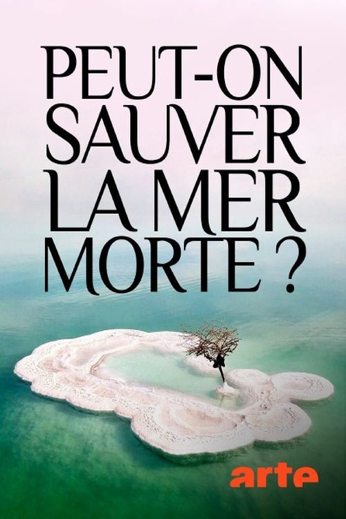 Peut-on sauver la mer Morte ? (2019) poster
