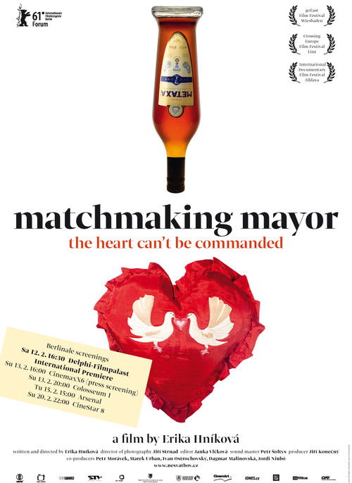 Matchmaking Mayor (2010) poster