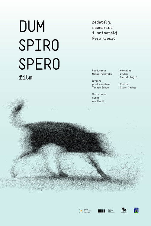 Dum spiro spero (2017) poster