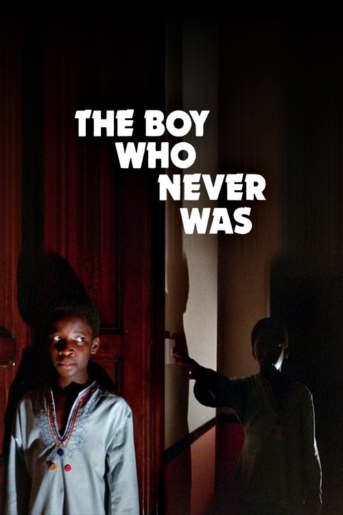 The Boy Who Never Was (1980) poster