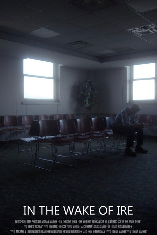 In the Wake of Ire poster