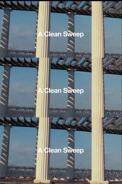 A Clean Sweep poster