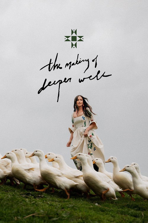the making of deeper well (2025) poster