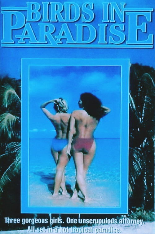 Soft Touch II (1987) poster