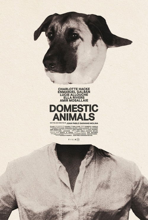 Domestic Animals (2025) poster