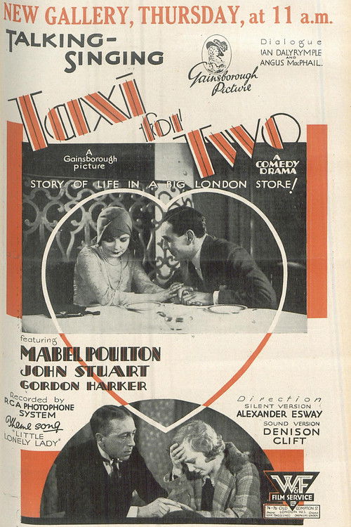 Taxi for Two (1929) poster