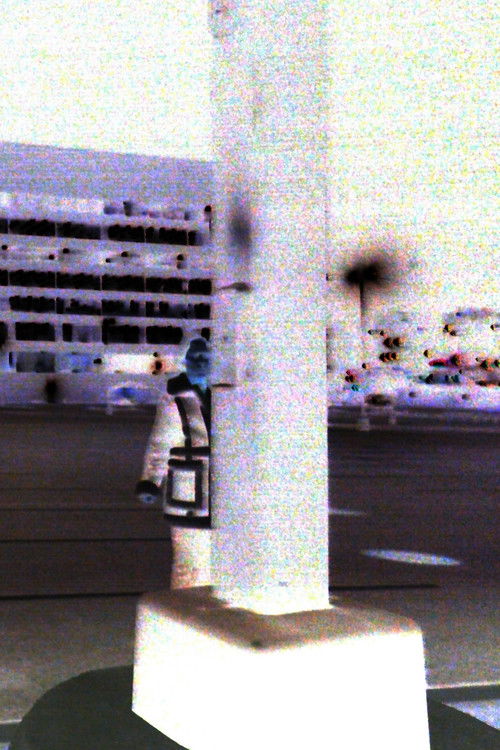 Whenever I Died I Died 1,000 Times (2024) poster