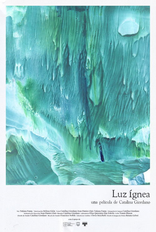 Luz ígnea (2024) poster