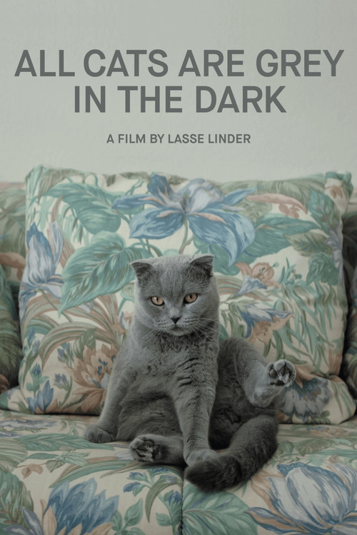 All Cats Are Grey in the Dark (2019) poster