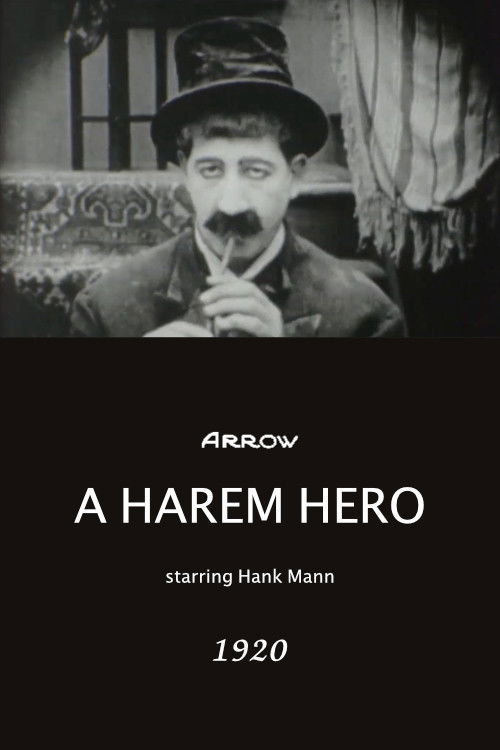 A Harem Hero (1920) poster