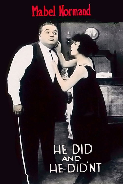 He Did and He Didn’t (1916) poster