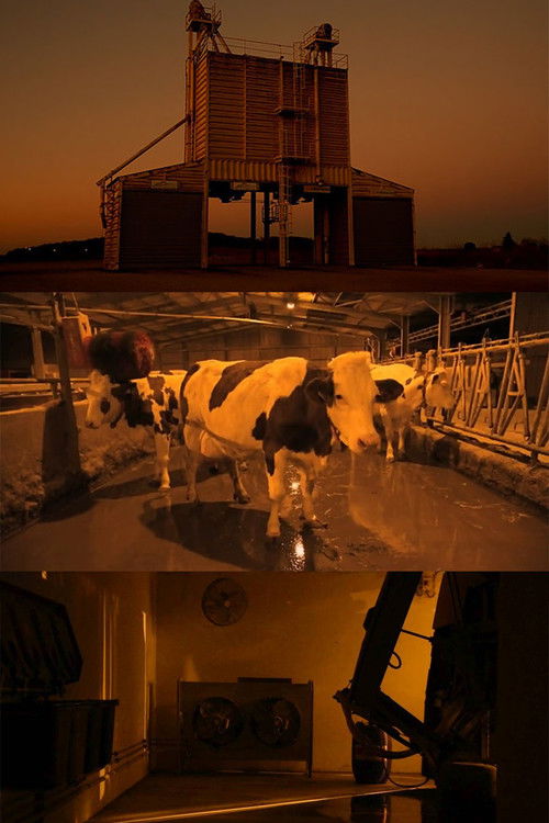 Rêvent-elles de robots astronautes? (2017) poster