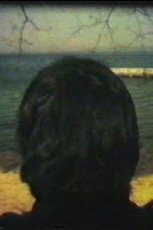 Yes, I Do Not Know (1980) poster