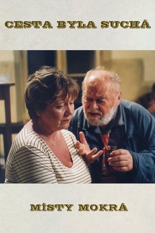 Cesta byla suchá, místy mokrá (2003) poster