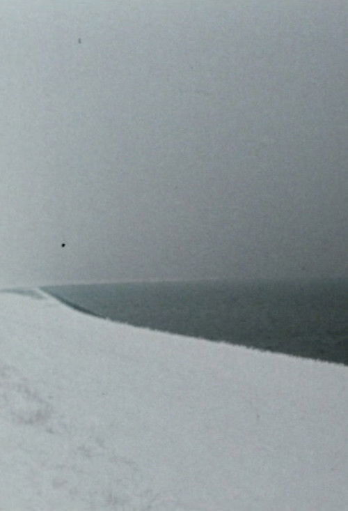 Zufalls-Horizonte (1980) poster