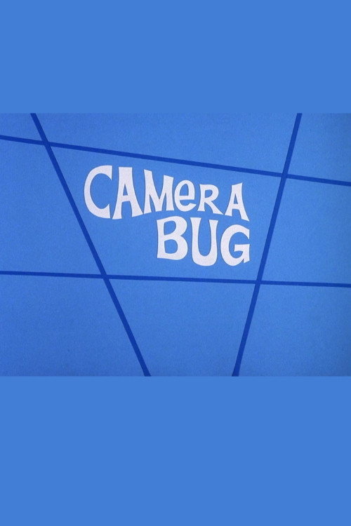 Camera Bug (1972) poster
