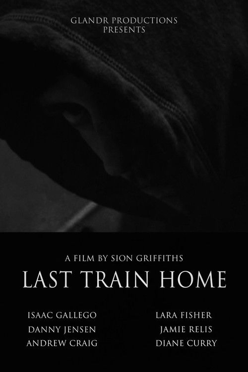 Last Train Home (2008) poster