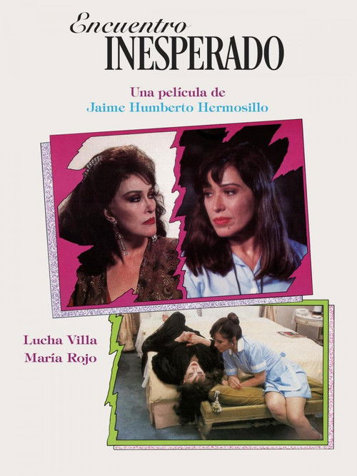 Encuentro Inesperado (1993) poster