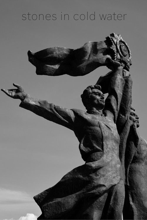 Stones in Cold Water (2023) poster