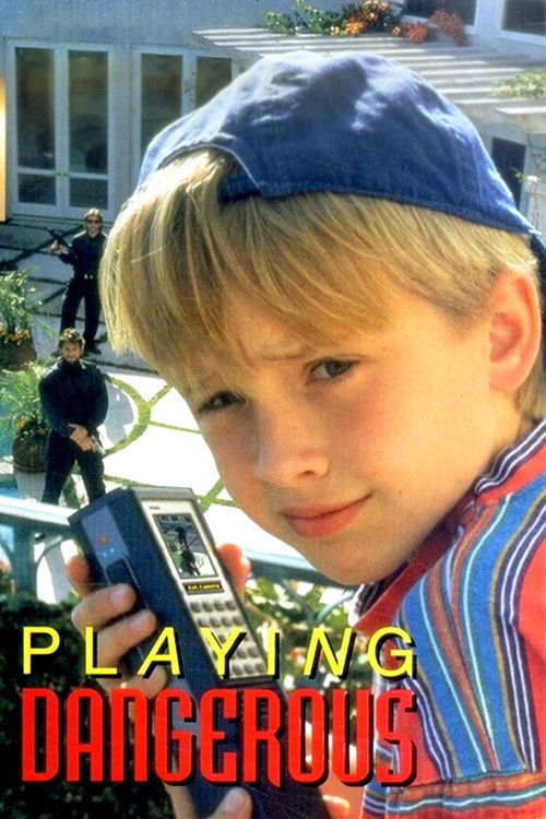Playing Dangerous (1995) poster
