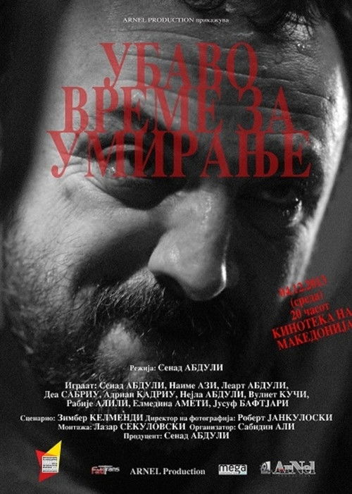 Good Time to Die (2013) poster