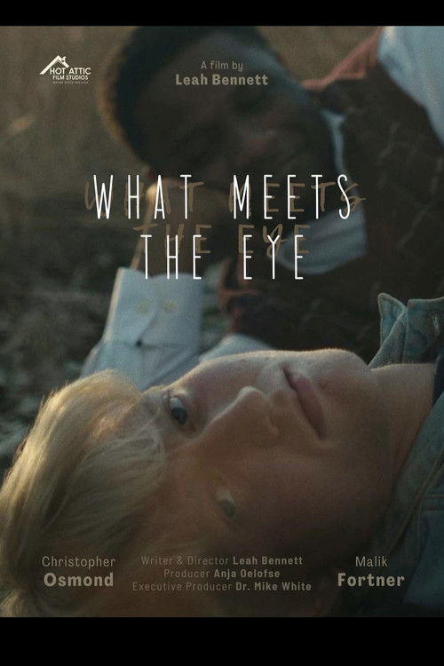What Meets The Eye (2024) poster