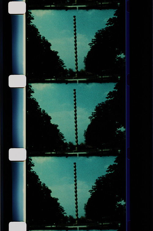 Brancusi's Sculpture Garden at Tirgu Jiu (1984) poster