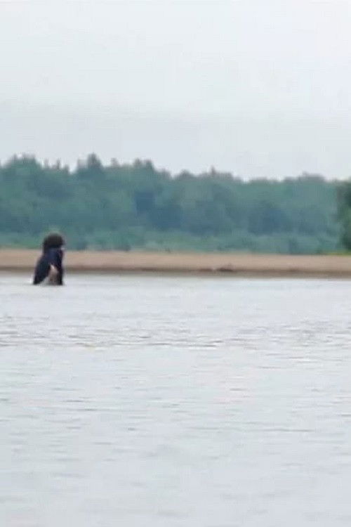 The Movie For The One Man (2018) poster