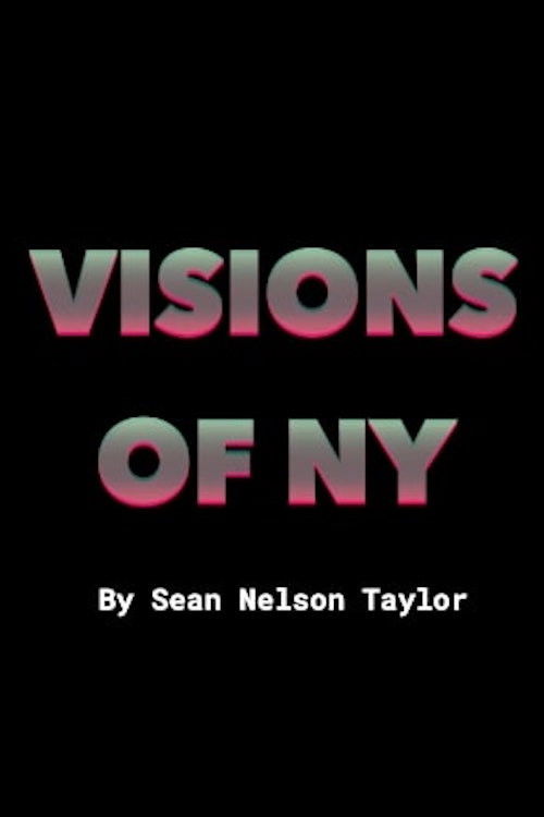 VISIONS_OF_NY (2019) poster