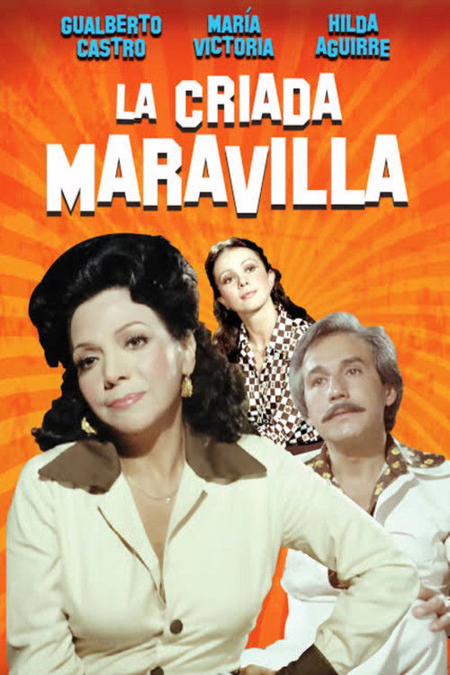 La criada maravilla (1979) poster