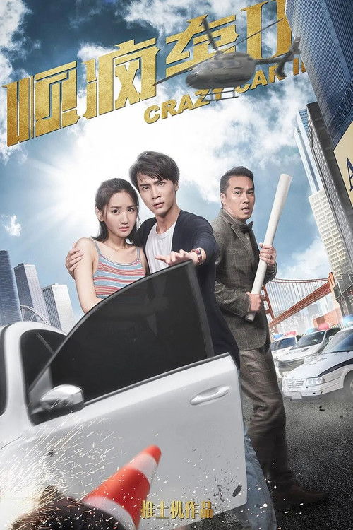 顺疯车2 (2019) poster