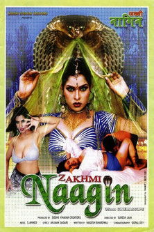 Zakhmi Naagin (2004) poster