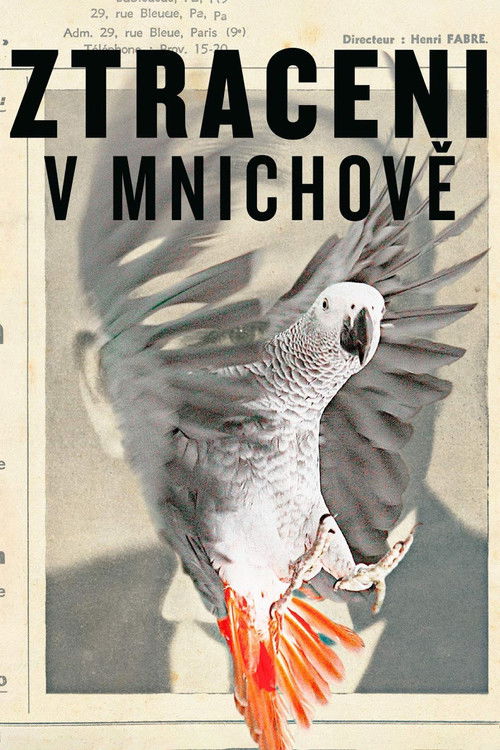 Ztraceni v Mnichově (2015) poster