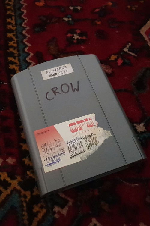 What Happened to Crow 64? (2020) poster