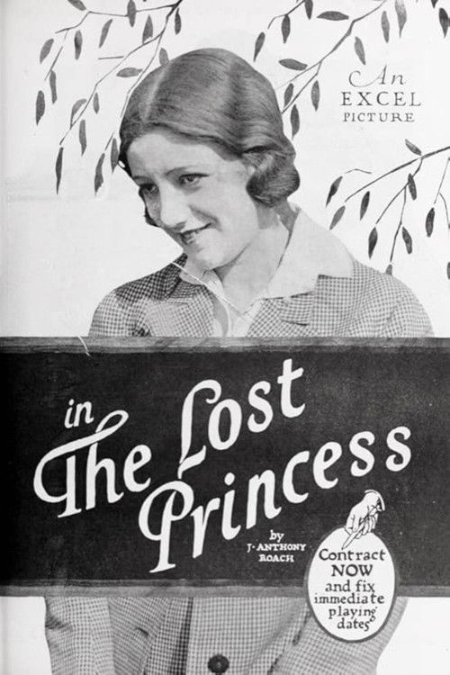 The Lost Princess (1919) poster