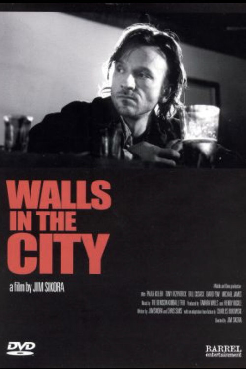 Walls in the City (1994) poster