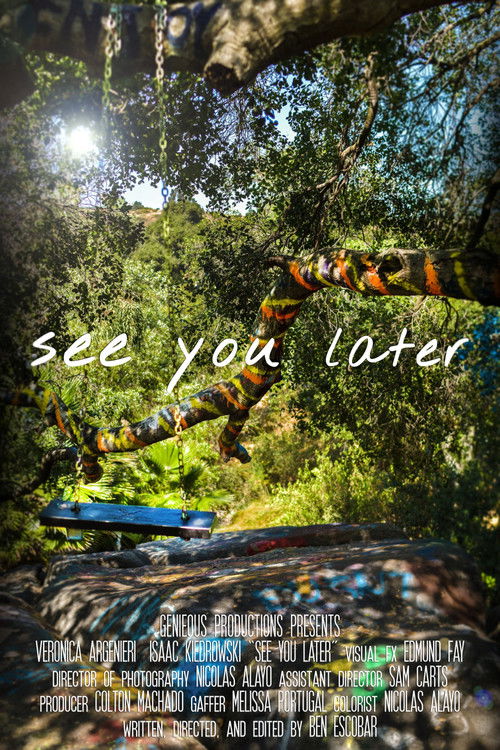 See You Later (2017) poster