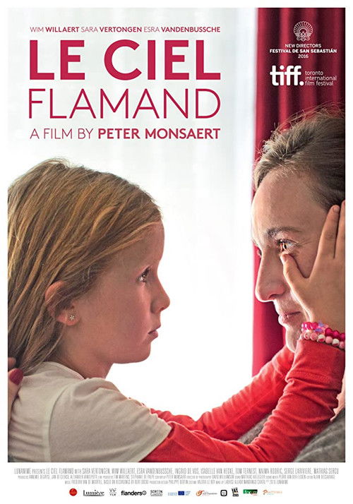 Le Ciel Flamand (2016) poster