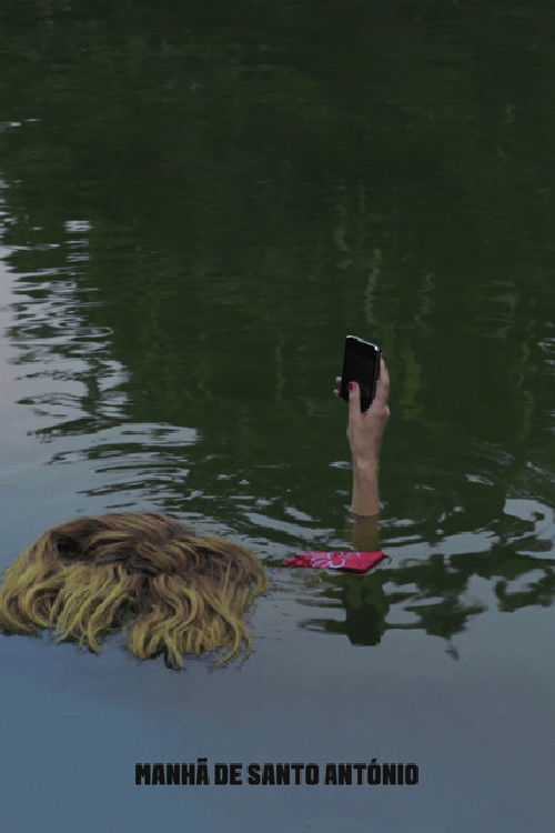 Morning of Saint Anthony's Day (2012) poster