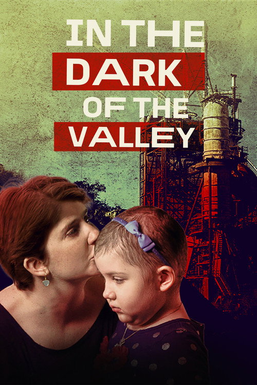 In the Dark of the Valley (2021) poster