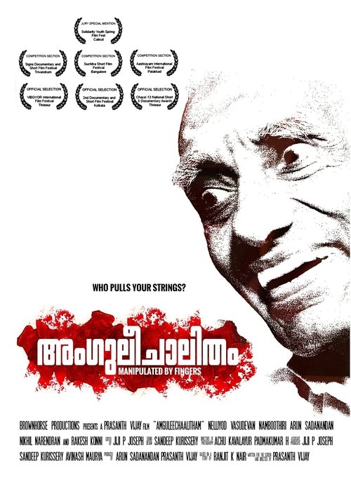 Manipulated by Fingers (2013) poster